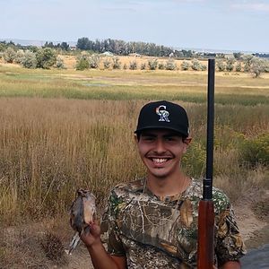 Meet your Posher, Zues